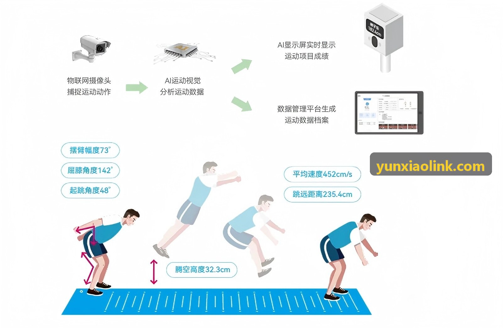 云霄体育数据可视化